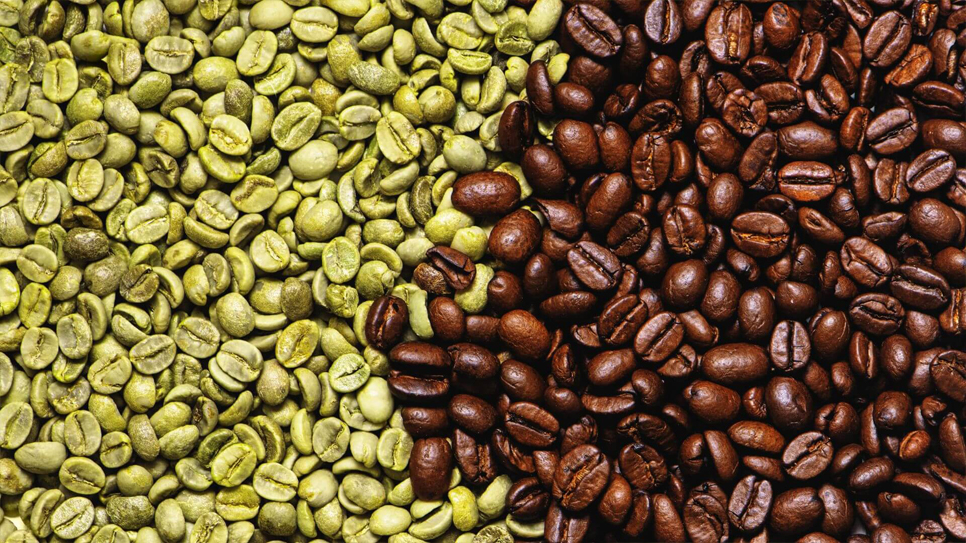 Kaffa, the birthplace of coffee